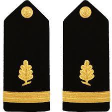 Épaulière tressée Épaulière marine Lieutenant Junior Grade Ingénieur civil-Planches féminines avec design personnalisé - Product Image 4