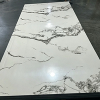 Panneaux en PVC marbré haute brillance pour la décoration murale intérieure ; Panneaux muraux intérieurs imprimés en 3D