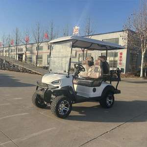 Carritos de golf VIP de lujo a precio económico, de 2 a 8 asientos, con asientos de cuero premium, luces LED, batería de largo alcance, para uso de invitados, en venta. - Product Image 5