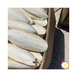 Top Vente Os De Seiche Pour Oiseaux Et Reptiles Os De Calmar Séchés/Ossa Sépia Gâteries Pour Animaux De Compagnie Pour Perroquet Avec Emballage Personnalisé - Product Image 3