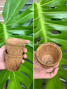 Vente en gros de pot de fleur en fibre de coco/pot de coco en fibre de coco de haute qualité de Eco2go Vietnam - Product Image 5