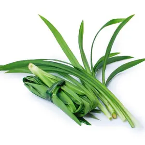 LES FEUILLES DE PANDANUS FRAIS PEUVENT ÊTRE UTILISÉES POUR LA CUISSON DE HAUTE QUALITÉ/LES INGRÉDIENTS LES PLUS FRAGANTS DU VIETNAM - Product Image 1