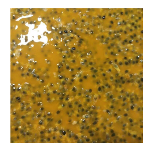 Fruta de la Pasión congelada a granel Proveedor de Vietnam con sabor consistente Fruta de la Pasión congelada con larga duración de almacenamiento - Product Image 1