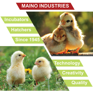 Incubatrice Professionale di Alta Qualità, Produzione Italiana, 2574 Uova di Gallina, ECO 4.1 I DU - Product Image 5