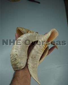 Le chien naturel de corne de bélier mâche des friandises dentaires sûres durables et saines pour les chiens par NHE Overseas - Product Image 2