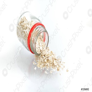 Organic high grade oat grains for sale Best price oat grains bulk purchase - Product Image 4