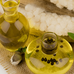 Huile Végétale de Graines de Coton Pressée à Froid, Pure et Liquide, Extrait de Graines Jaunes pour Soins de la Peau - Product Image 2