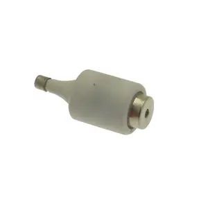 Supplying DII 6A 500V Fuse 100% Original Product in stock fast delivery