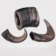 Cuerno relleno de carne de larga duración Natural respetuoso con el medio ambiente pulido de alta calidad para perros Chew Treat - Product Image 4