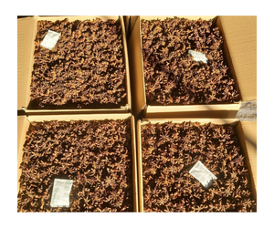 Anís estrellado al por mayor, anís estrellado rojo seco, semillas tamizadas de anís y anís estrellado de rama seca - Product Image 5