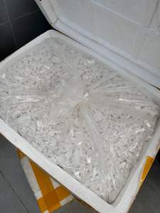 Fournisseur en gros de poudre de manioc vietnamienne de qualité supérieure, amidon naturel, sain - Product Image 4