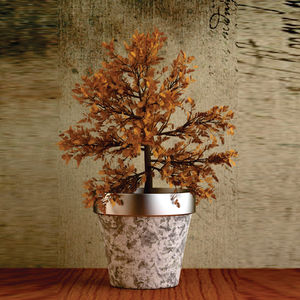 Regadera de caña de agua chapada en latón de forma alta de diseño moderno para uso en pasillo, artículos de jardín, lata de agua de alta calidad - Product Image 5