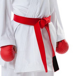 Uniforme de Karate de Artes Marciales Ligero de Alta Calidad 100% Algodón, Personalizado con Sublimación Blanca, Bordado y Logotipo - Product Image 5