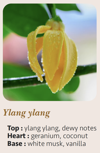 Vela Aromática de Lujo Hecha a Mano, 10cl, Aroma a Ylang Ylang y Logotipo Personalizado, Cera Mixta en Cilindro, Hecho en Francia, Decoración para el Hogar - Product Image 5