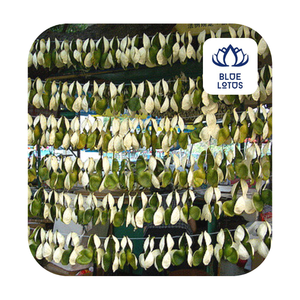 Exfoliante de limón seco/Lima, de proveedor vietnamita - Product Image 2