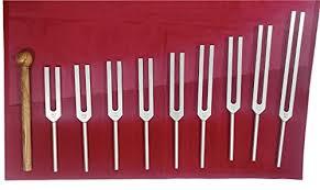 Ensemble de diapasons en aluminium Eisco Labs de 13 pièces dans un coffret en bois - Product Image 2