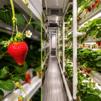 Conteneur de culture de fraises d'intérieur pour la production commerciale de fruits hydroponiques et l'agriculture intelligente
