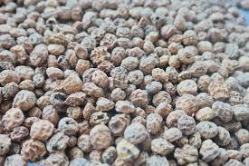 Tubérculos de nuez de tigre secos - Product Image 2