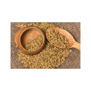 Bulk <b>lentil</b> seeds available at competitive prices ideal for wholesalers and exporters - Product Image 5