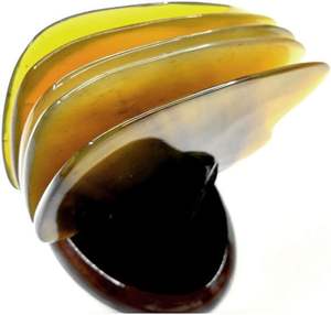 Masajeador Facial de lujo minimalista Gua Sha de cuerno hecho a mano de alta calidad para mandíbula y pómulos logotipo grabado - Product Image 3