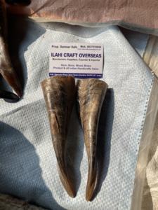 เขาแพะคู่ คู่เขาธรรมชาติสำหรับตกแต่งและงานฝีมือ คุณภาพสูง - Product Image 4