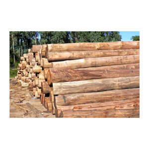 ไม้ยูคาลิปตัสและท่อนไม้ยูคาลิปตัสคุณภาพสูง - Product Image 5