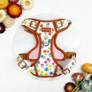 サンレイマスコタOEMパーソナライズド通気性反射調整可能カスタムロゴノープル犬用ハーネス（アクティブで大型の犬用） - Product Image 1