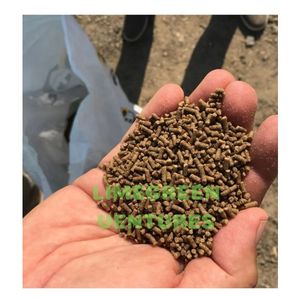 Alimento para camarones Alto en proteínas Alimento para camarones orgánicos Exportadores y proveedores a granel en todo el mundo - Product Image 1