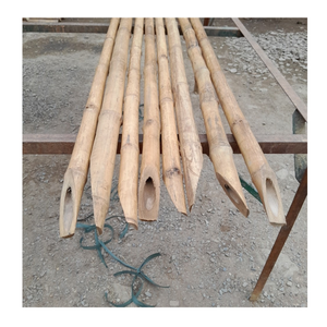 เสาไม้ไผ่ที่ทนทานสำหรับการรองรับพืชในฟาร์มและการออกแบบกลางแจ้งเสาไม้ไผ่ที่มีคุณภาพสำหรับการใช้งานในสวน - Product Image 3