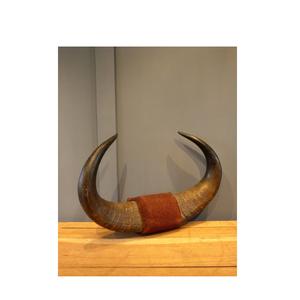 Cuerno de par de búfalo antiguo personalizado diferente elegante decoración de pared de salón par de búfalo cuerno artesanía natural - Product Image 3