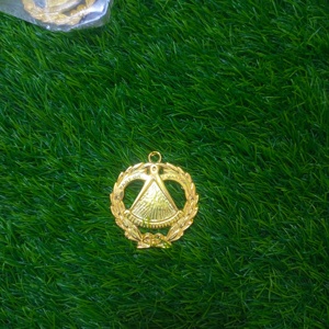 Masonic regalia past Grand Master Jewel-HSE - Product Image 2