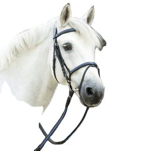 La brida anatómica se ha desarrollado con profesionales de la salud ecuestre Barraga - Product Image 1