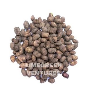 Jamun Seeds Wholesale Organic Syzygium Cumini Seeds Export India Bulk Exporter Supplier Double Tongues Brand 12 Months Shelf - Product Image 2