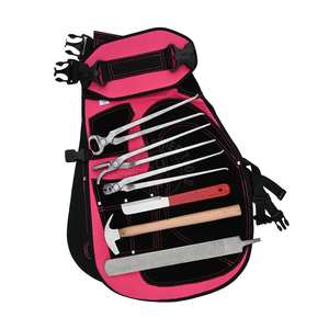 Kit d'outils de maréchal-ferrant et ensemble de tablier rose, tablier de maréchal-ferrant multi-poches avec pince à sabot argentée, pince à clous, tire-chaussures, marteau, râpe - Product Image 1