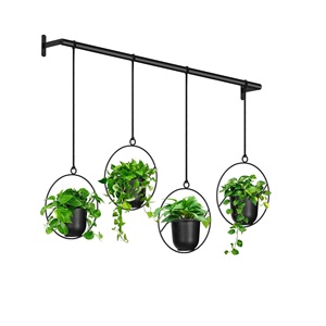 Meilleur prix Décoration d'intérieur Support mural en laiton massif pour plantes et fleurs - Product Image 2