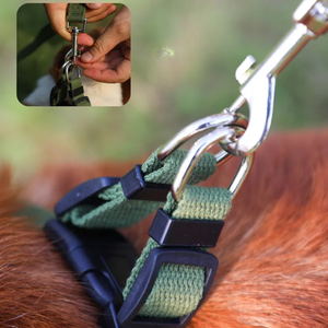 Harnais pour chien réglable en nylon Hong Hyun Yuma avec clochette et fermeture à boucle, style sport, motif à carreaux pour chiens, marron noir - Product Image 5