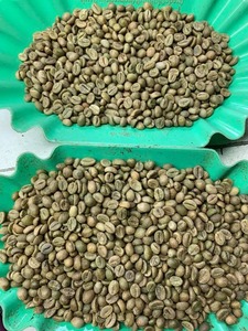 Granos verdes de café Robusta de primer grado de alta calidad 0084339966582 empaquetados en bolsa de yute - Product Image 2