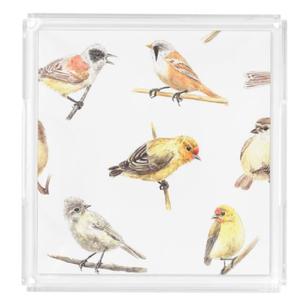 ถาดเสิร์ฟอาหารอะคริลิคขนาดใหญ่พร้อมถาดวางบนโต๊ะดีไซน์สุดหรูของ acmi - Product Image 1