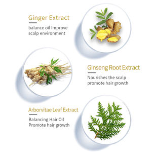 Juego de champú y acondicionador para el cuidado del cabello, esencia herbal profesional para salón personalizado OEM - Product Image 3