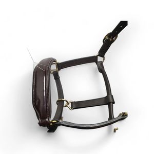 Licol en cuir de cheval dos nu rembourré avec muserolle verni et large bandeau marron - Product Image 4