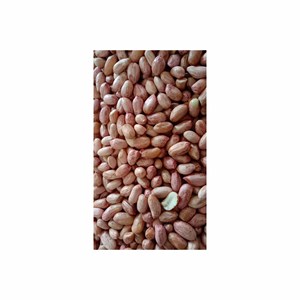 Best Selling Organic Blanched Fresh Peanuts TJ Peanuts Groundnut Dry Kernel Dry Peanut Ground <b>Nuts</b> Snack Farm Raw Wholesale - Product Image 1