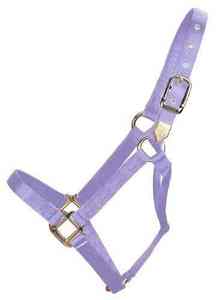 Licol pour cheval en nylon confortable et durable, quincaillerie en acier inoxydable, sangle en PVC, taille et couleur personnalisables, style selle anglaise, Flyash - Product Image 5