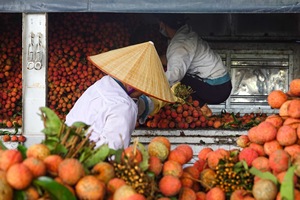 ลิ้นจี่กระป๋องใส่อาหารกระป๋องรสหวานจากดอกบัวสีน้ำเงินบัวเวียดนาม2025 - Product Image 2