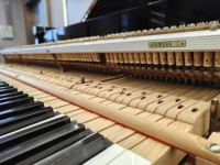Piano à queue Yamaha C3B d'occasion en excellent état, livraison rapide, finition élégante, touches lisses, 2153654