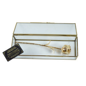 Bandeja Moderna para Joyas, Acabado Plateado, Diseño Brillante, Bandeja Exhibidora de Joyas para Decoración del Hogar, Disponible al Mejor Precio - Product Image 5