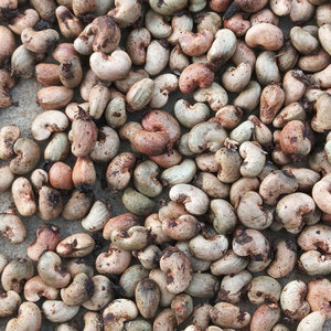 ถุงสูญญากาศปิดผนึกแบบสุญญากาศจำนวนมากเมล็ดมะม่วงหิมพานต์เม็ดมะม่วงหิมพานต์สีขาวทั้งตัวไม่มีเปลือก - Product Image 2