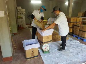 Venta caliente de resina de Siam de benzoin natural con aceite esencial de benzoin de bajo precio al por mayor 100% puro y orgánico - Product Image 3