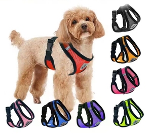 Arnés y Correa para Mascotas, Transpirable, para Perros Pequeños y Grandes, Productos para Exteriores, Venta Caliente del Fabricante - Product Image 1