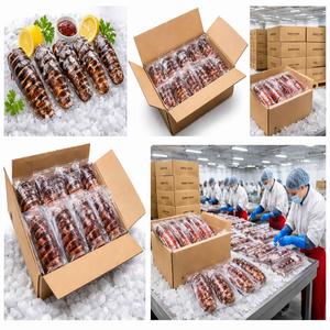Proveedor de Colas de Langosta – Exportación de Mariscos Congelados al Vacío (IQF) al por Mayor - Product Image 6