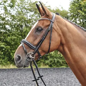 Brida de destello ostentosa Equitación profesional Brida de caballo de buena calidad Logotipo personalizado Caballo de cuero de precio bajo más vendido